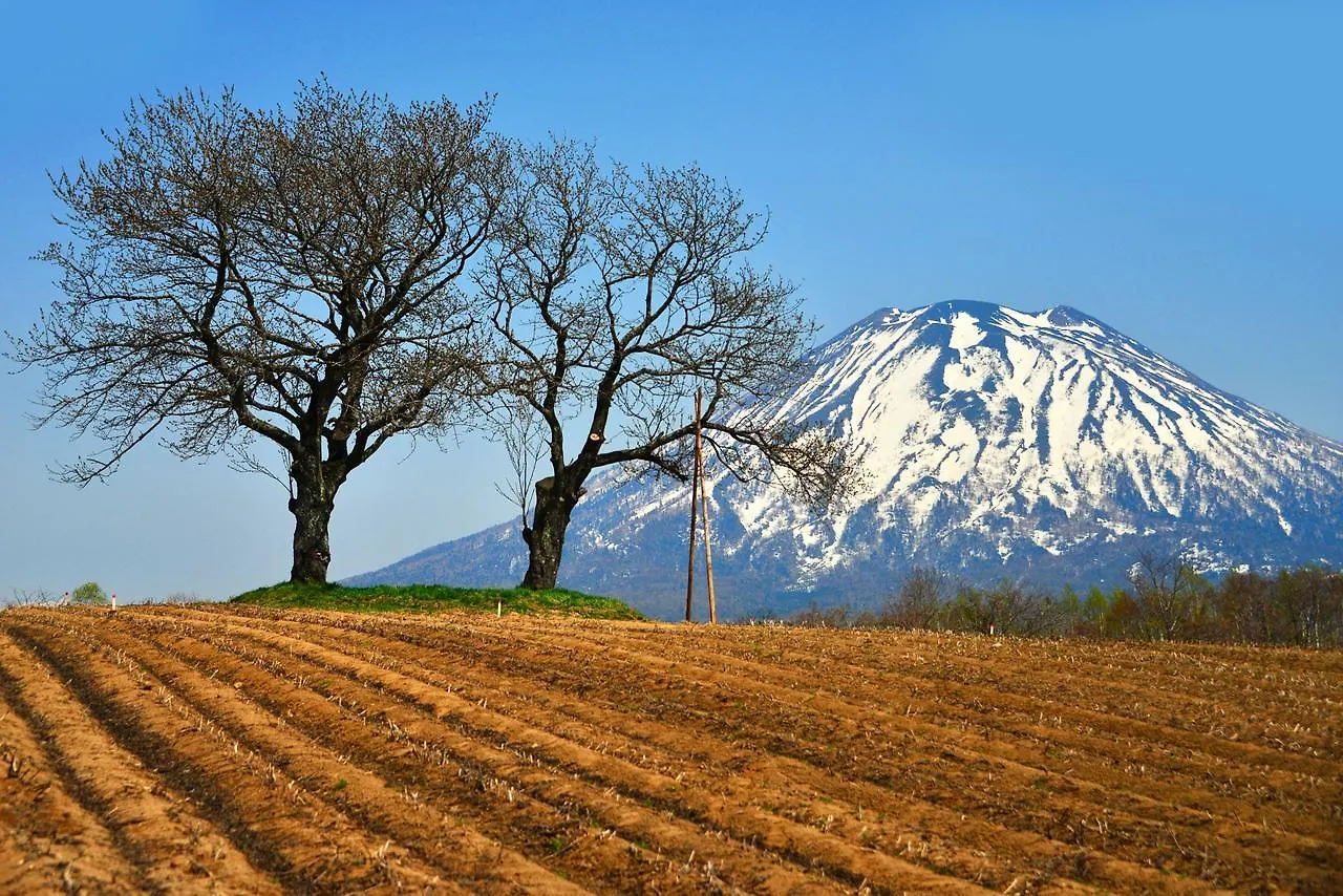 ホテルニセコアルペン 倶知安町 3*,  日本